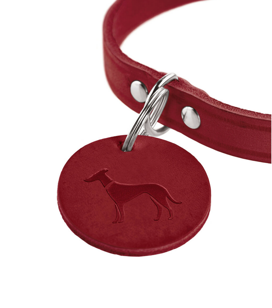 Collier pour chien Hunter Aalborg – Rouge – Taille S (32–38 cm)