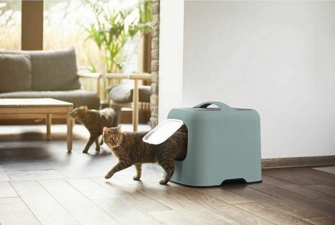 Bac à litière pour chat Rotho Biala – Vert – Plastique recyclé – 51 x 39,5 x 44,3 cm