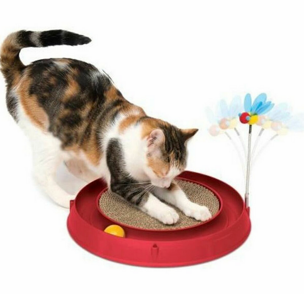 Jouet interactif pour chat Catit 3 en 1 – Circuit, griffoir et abeille – Rouge – Ø 36 cm