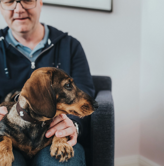 Collier pour chien Hunter Swiss – 47 à 54 cm