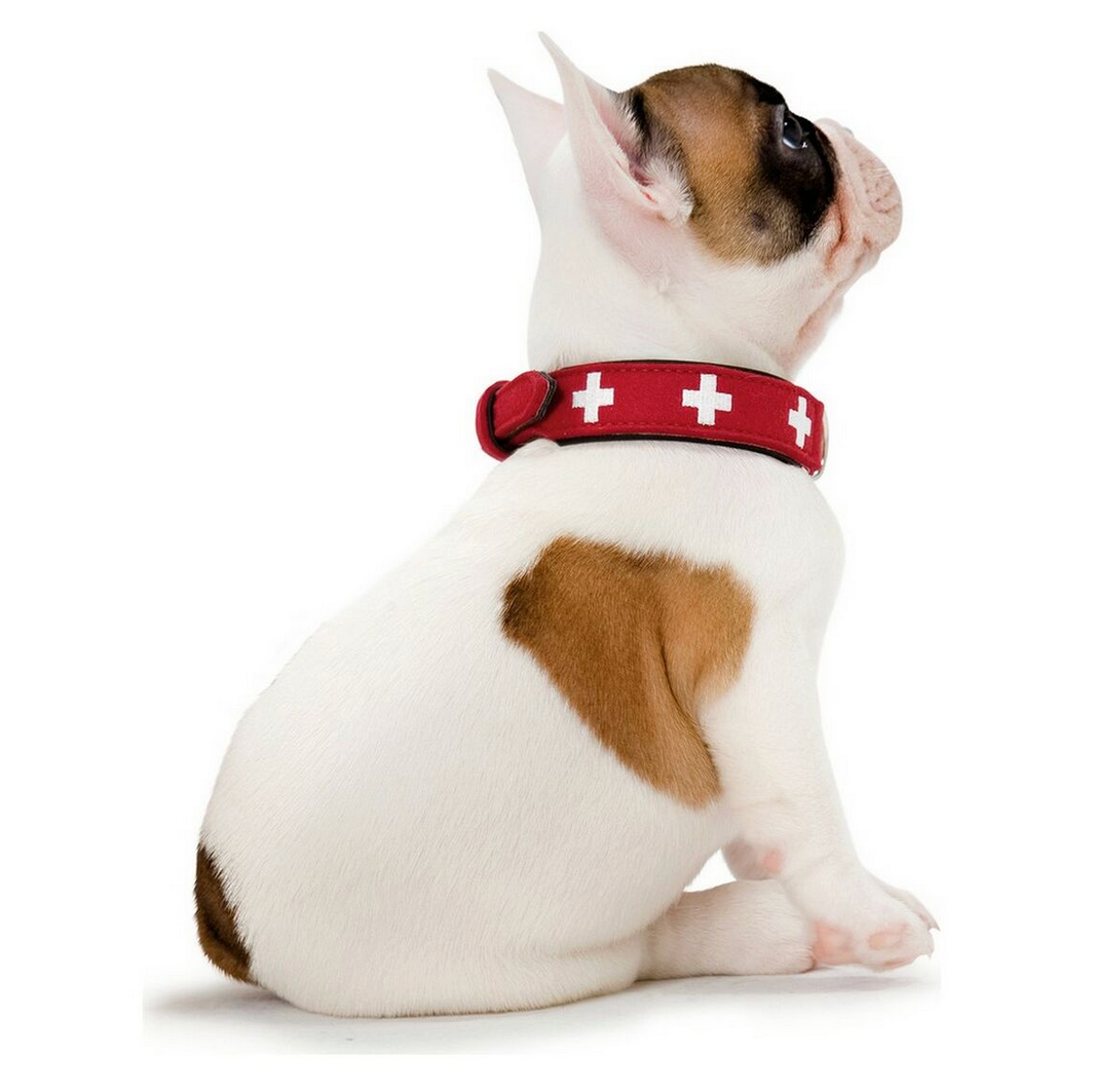Collier pour chien Hunter Swiss en cuir rouge et noir – 41 à 49 cm