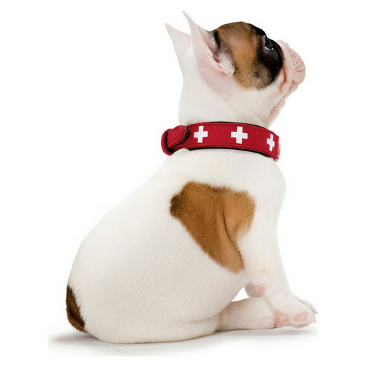 Collier pour chien Hunter Swiss en cuir rouge et noir – 41 à 49 cm