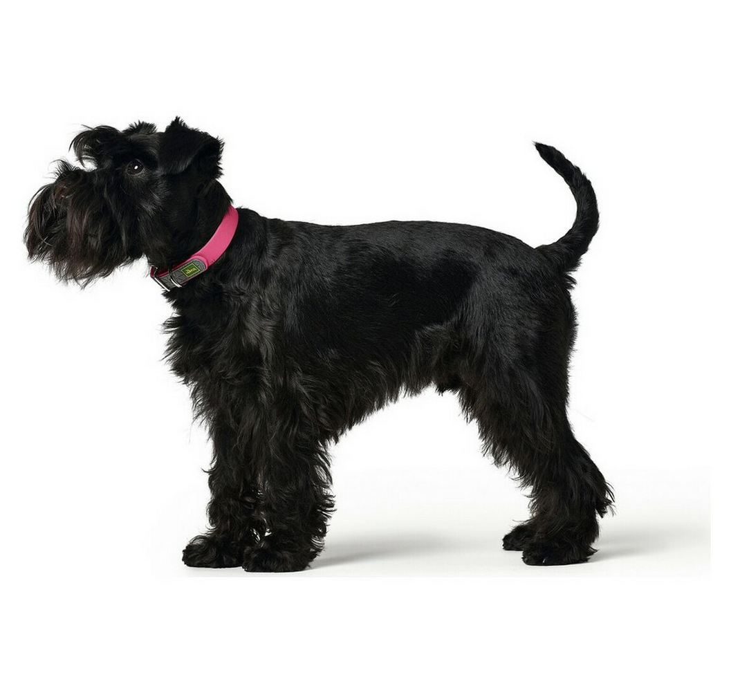 Collier pour Chien Hunter Convenience Rose S/M