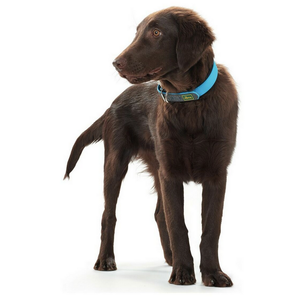 Collier pour chien Hunter Convenience turquoise – Taille S/M (33 à 41 cm)