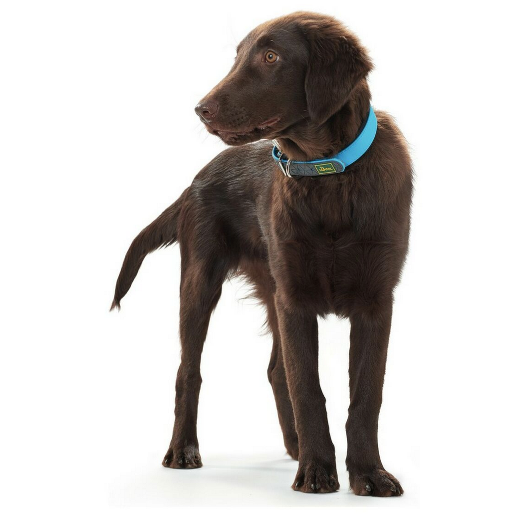 Collier pour chien Hunter Convenience turquoise – Taille S/M (33 à 41 cm)