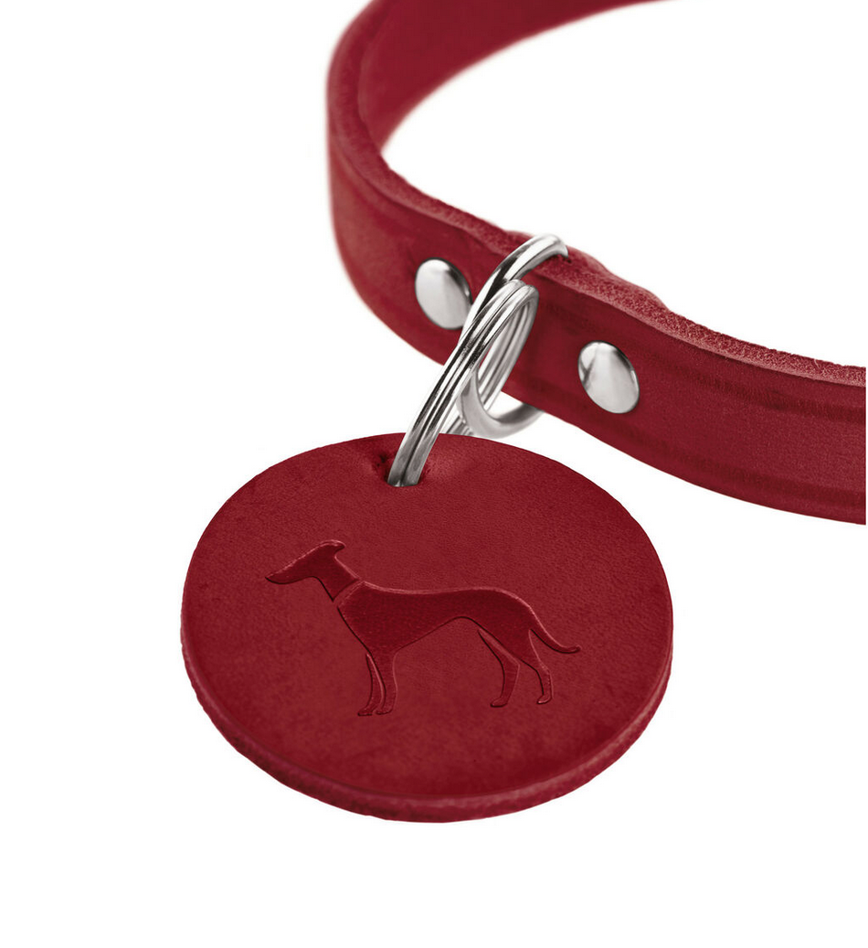 Collier pour chien Hunter Aalborg Rouge – Taille S (32 à 38 cm)