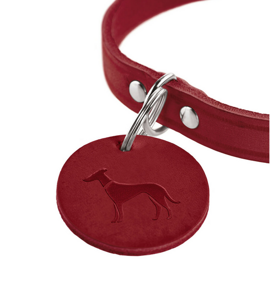Collier pour chien Hunter Aalborg Rouge – Taille S (32 à 38 cm)