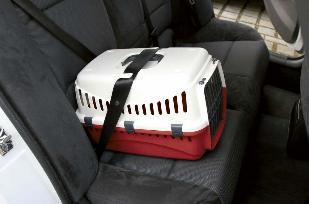 Cage de transport Kerbl Expedion – 48 × 32 × 32 cm